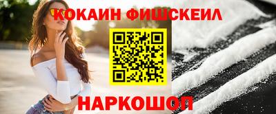 крисы Кулебаки
