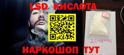 крисы Кулебаки