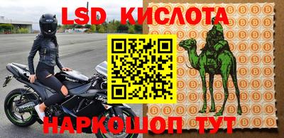 крисы Кулебаки