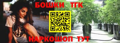 крисы Кулебаки