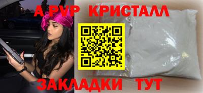 крисы Кулебаки